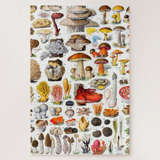 MUSHROOMS 2 LEGPUZZEL (Verticaal)