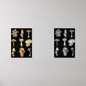 Mushrooms Muurkunst Sets (Voorkant)