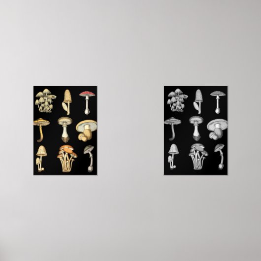 Mushrooms Muurkunst Sets (Voorkant)