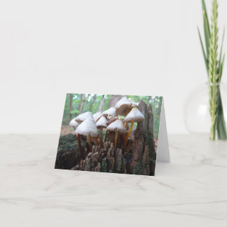 Mushrooms on an Old Stump Notecard Kaart