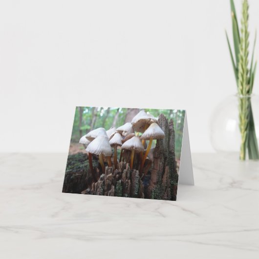 Mushrooms on an Old Stump Notecard Kaart (Voorkant)