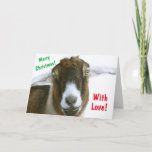 Mushy Romantic Goat Kerstmis Feestdagen Kaart<br><div class="desc">Cute en leuke kerstkaart met een romantische geit met liefde in zijn ogen! Geef de berichten een persoonlijk tintje en geniet van de beste wensen. Veel bedankt om te zoeken! Foto ©Christine Greenspan</div>