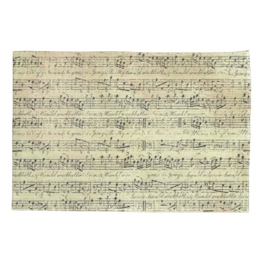 Music Note Pattern Music Theme Pillow Hoesje Kussensloop (Achterkant)