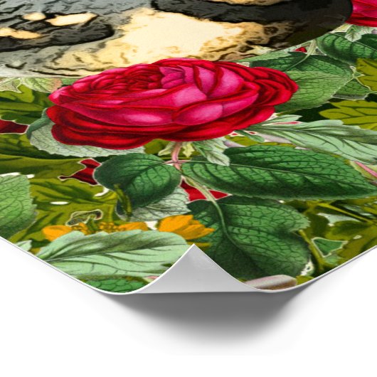 Music Quote, Thrush Bird en Rozen,  Violin Poster (Hoek)