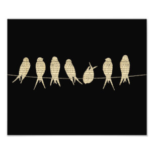 Musical Birds Foto Afdruk