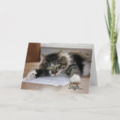 Musical Cat Birthday Song Verjaardag Kaart (Voorkant)