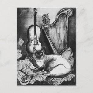 MUSICAL CAT,OWL,VIOLIN,HARP Black White Grey Music Briefkaart