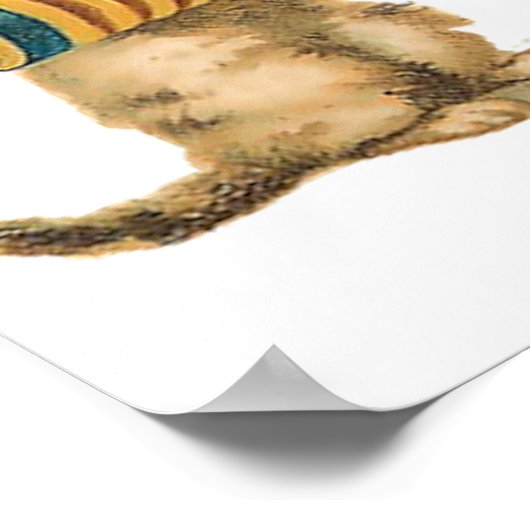 Musical Cats Poster (Hoek)