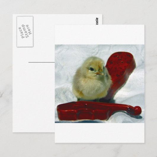 Musical Chick Briefkaart (Voorkant / Achterkant)