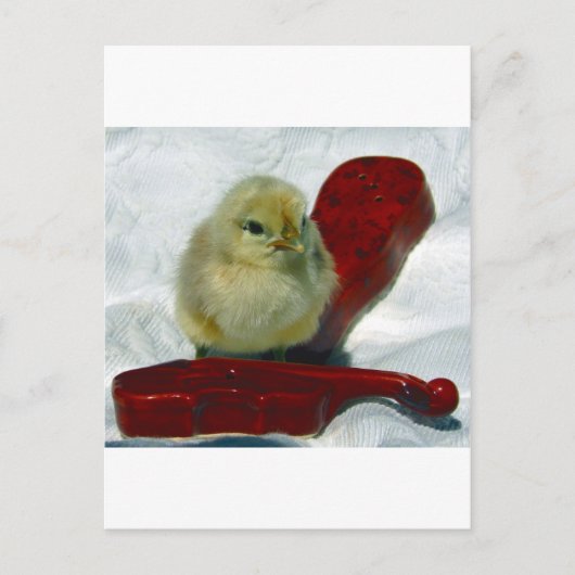 Musical Chick Briefkaart (Voorkant)