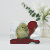 Musical Chick Briefkaart (Staand voorkant)