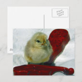 Musical Chick Briefkaart (Voorkant / Achterkant)