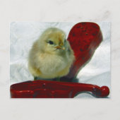 Musical Chick Briefkaart (Voorkant)