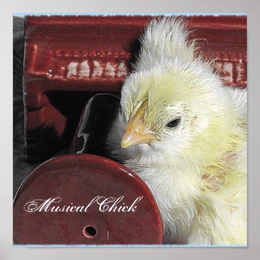 Musical Chick Poster (Voorkant)