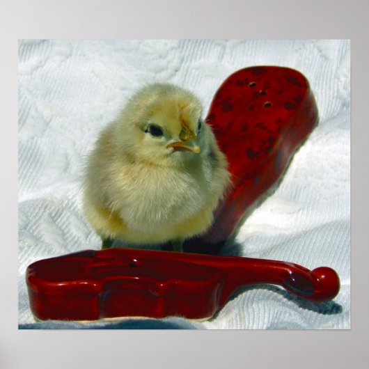 Musical Chick Poster (Voorkant)