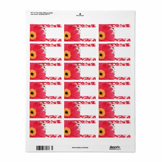Musical Fuchsia Gerber Daisy Russet Heart Etiket (Full Sheet)