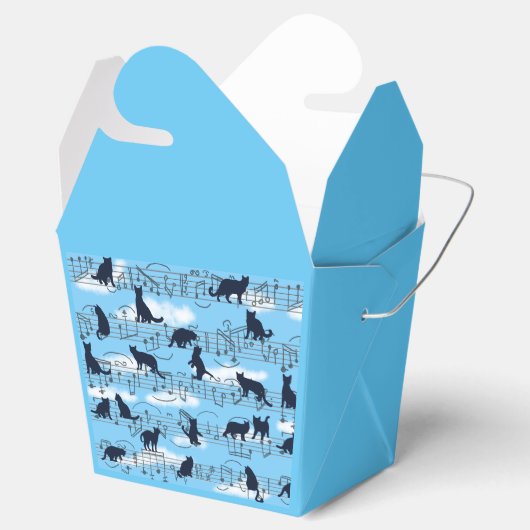 Musical kittens bedankdoosjes (Geopend)