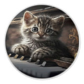 Musical Meow-sterstuk Keramische Knop (Voorkant)