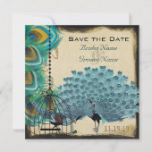 Musical Peacock Bird Cage Eggplant Save the Date (Voorkant)