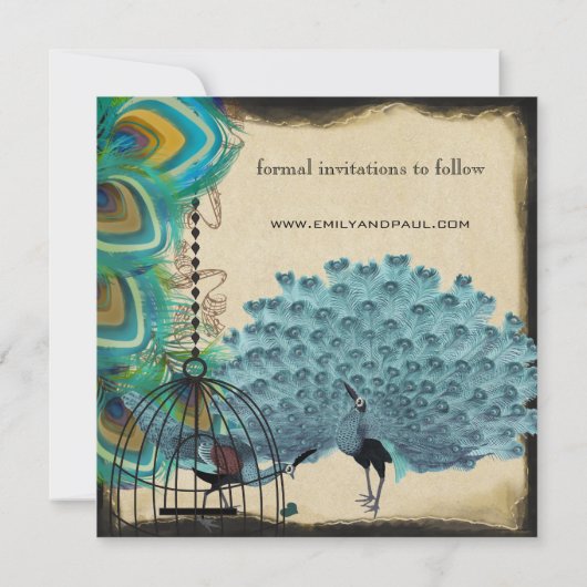 Musical Peacock Bird Cage Eggplant Save the Date (Achterkant)