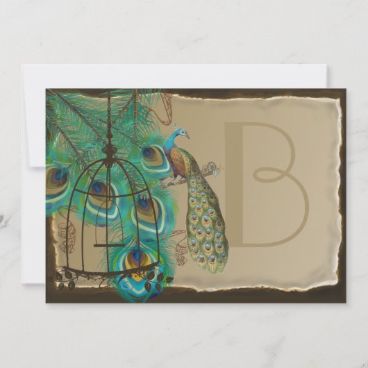 Musical Peacock Bird Cage Feather Burnt Parchment Kaart (Achterkant)