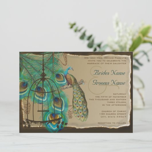 Musical Peacock Bird Cage Feather Burnt Parchment Kaart (Staand voorkant)