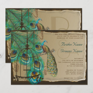 Musical Peacock Bird Cage Feather Burnt Parchment Kaart