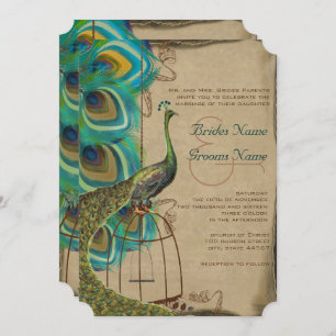 Musical Peacock Bird Cage Feather Wedding Invites Kaart