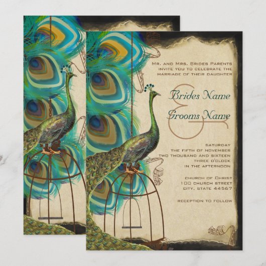 Musical Peacock Bird Cage Feather Wedding Invites Kaart (Voorkant / Achterkant)