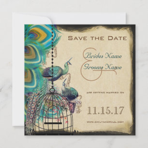 Musical Peacock Bird Cage Tortelduifjes Save the D Date