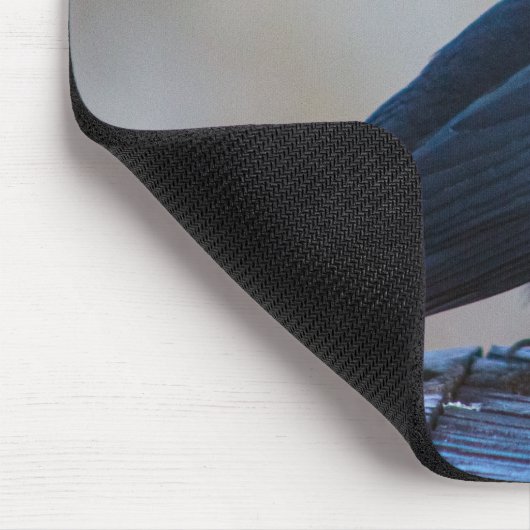 Musical Redwing Blackbird in Marsh Muismat (Hoek)