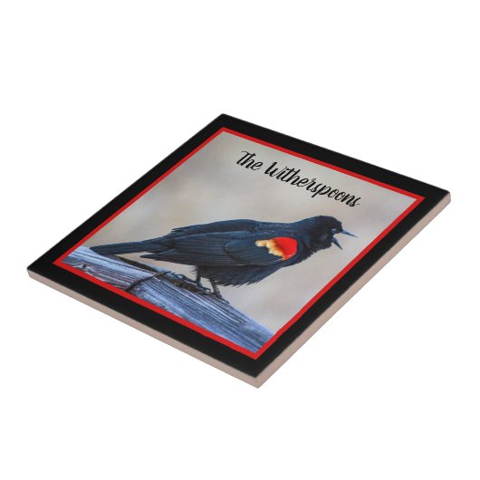 Musical Redwing Blackbird in Marsh Tegeltje (Zijkant)