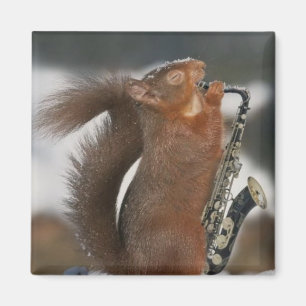 Musical Squirrel Magnet
