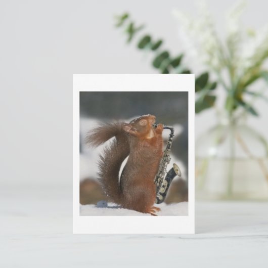 Musical Squirrel Post card Briefkaart (Staand voorkant)