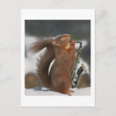 Musical Squirrel Post card Briefkaart (Voorkant)