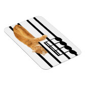 Musical tabby kitty cat magneet (Rechterzijde)
