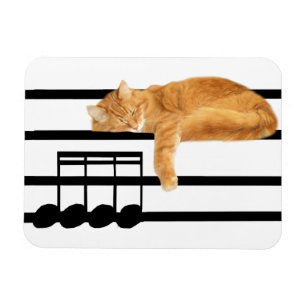 Musical tabby kitty cat magneet
