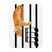 Musical tabby kitty cat magneet (Verticaal)