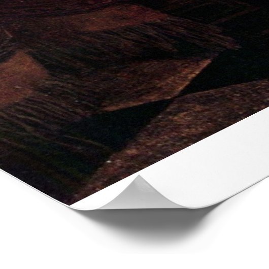 Musical Trio van Johannes Vermeer Poster (Hoek)