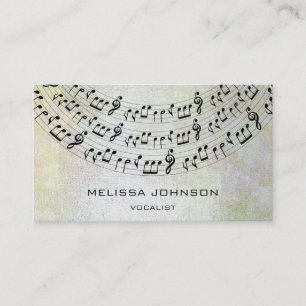 Musiciaanse zanger Componist Pianist Metallic Past Visitekaartje