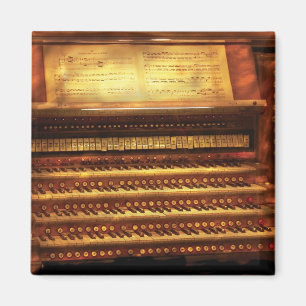 Musicus - organisme - de pijplijn magneet