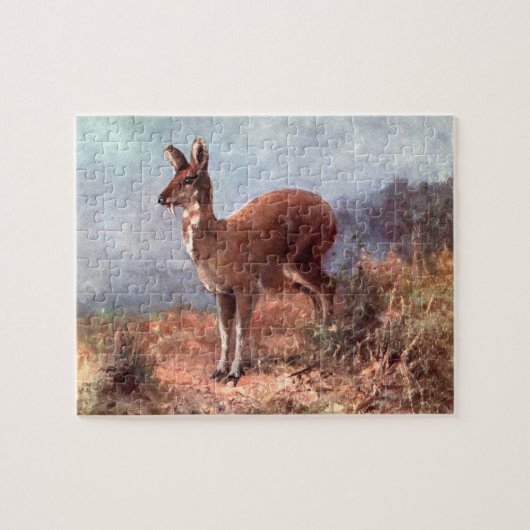 Musk Deer by CE Swan,  wilde dieren Legpuzzel (Horizontaal)