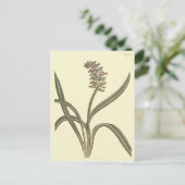 Musk Grape Hyacinth Botanical Illustratie Briefkaart (Staand voorkant)