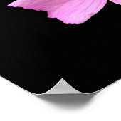 Musk-kaasjeskruid Poster (Hoek)