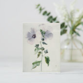 Musk Mallow, 18e eeuw Briefkaart (Staand voorkant)