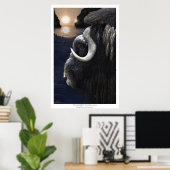 MUSK OX & ARCTIC SUN Art Print (Thuiskantoor)