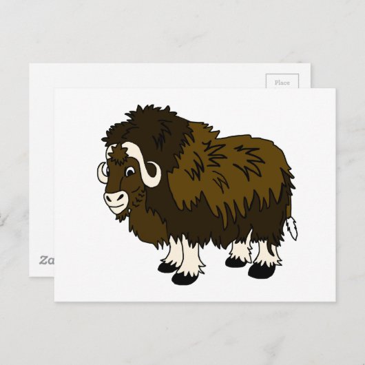 Musk Ox Briefkaart (Voorkant / Achterkant)