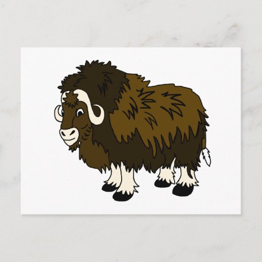 Musk Ox Briefkaart (Voorkant)