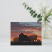 Musk Ox Briefkaart (Staand voorkant)