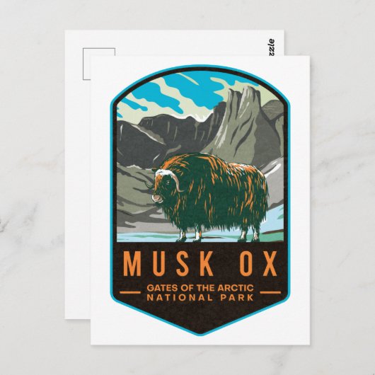 Musk Ox Gates Of The Arctic National Park Briefkaart (Voorkant / Achterkant)